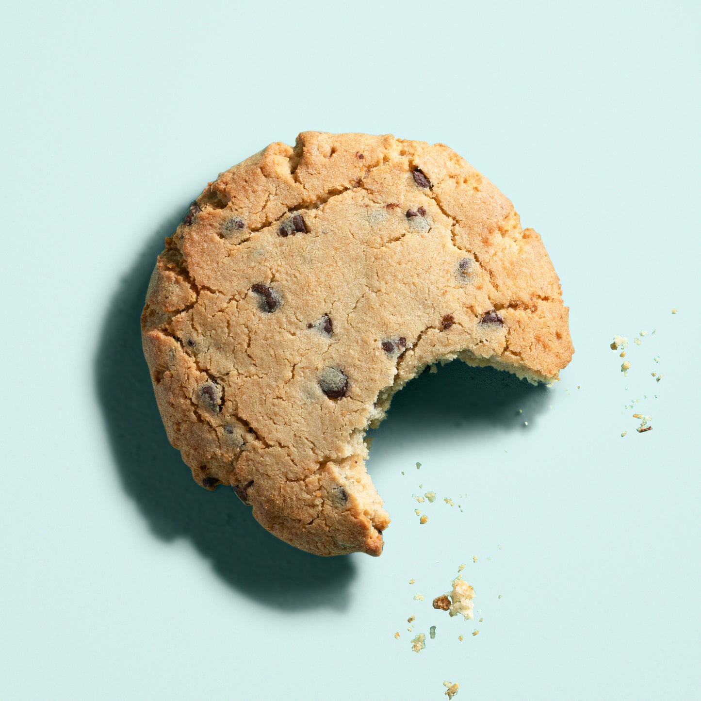 Pesach Chocolate Chip Cookie- Box of 8