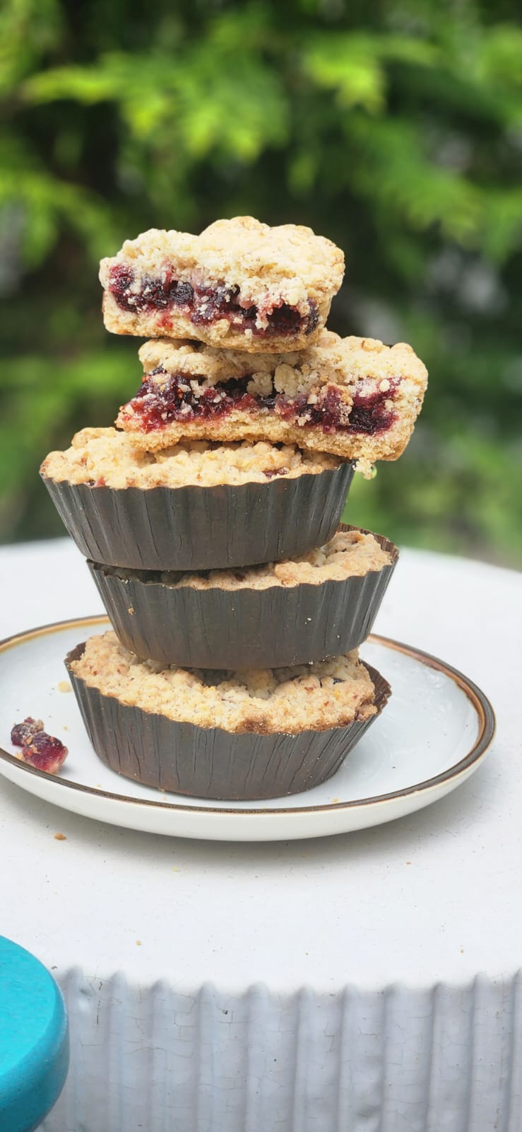 2 -4” Cranberry Crumb Cake