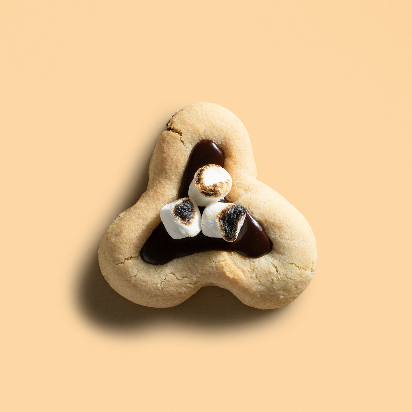 Gluten Free Smores Hamentash Box of 4